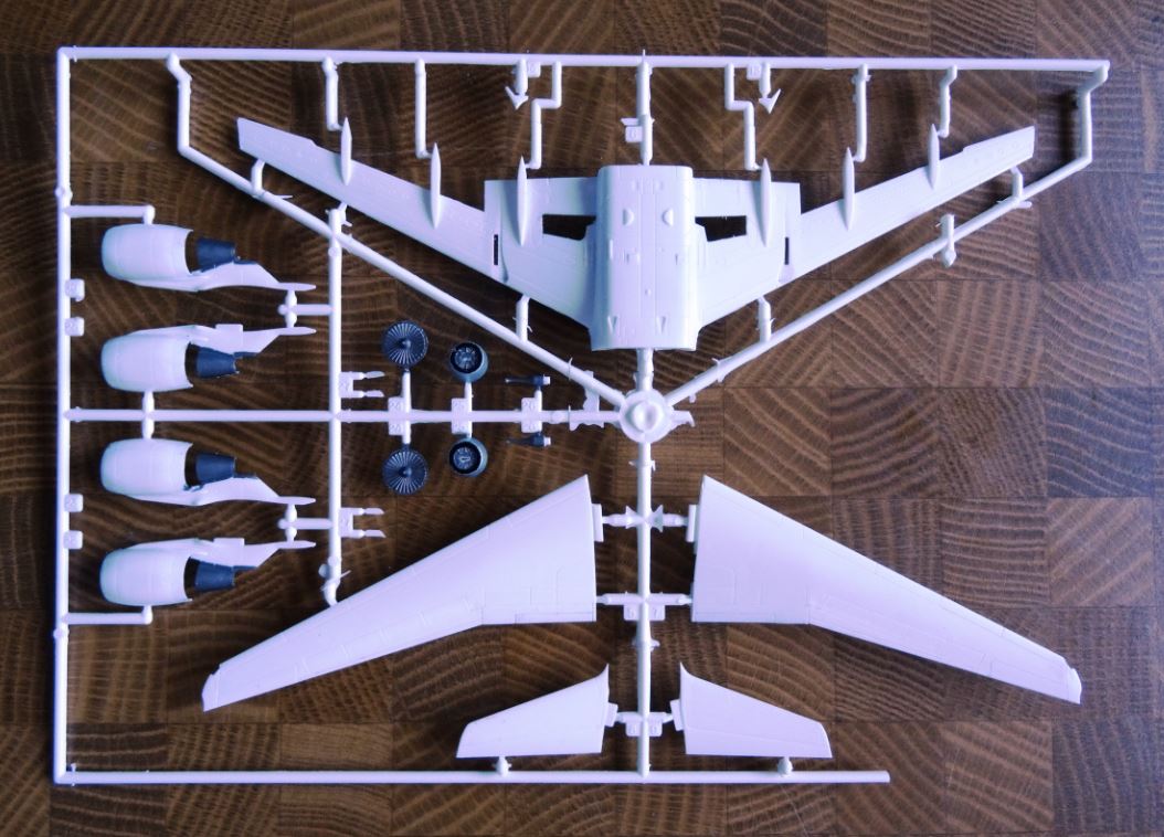 A319_04.JPG