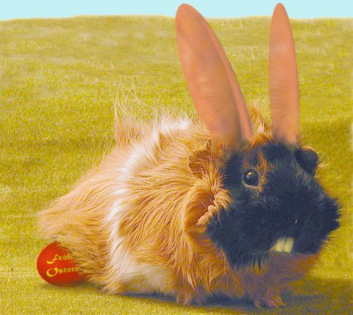 osterschwein.jpg