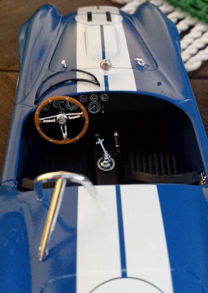 shelby_cockpit_bird.jpg