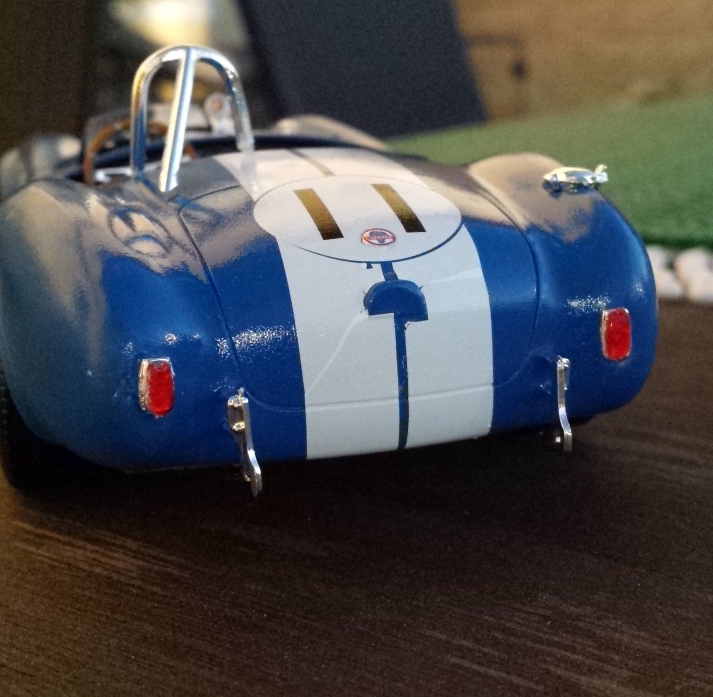 shelby_rear.jpg