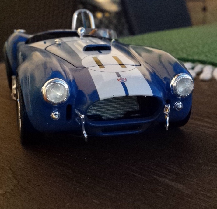 shelby_Front.jpg