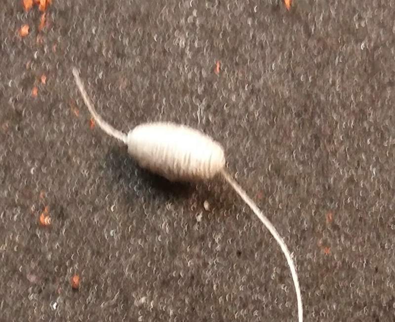 comp_20161201_101920.jpg