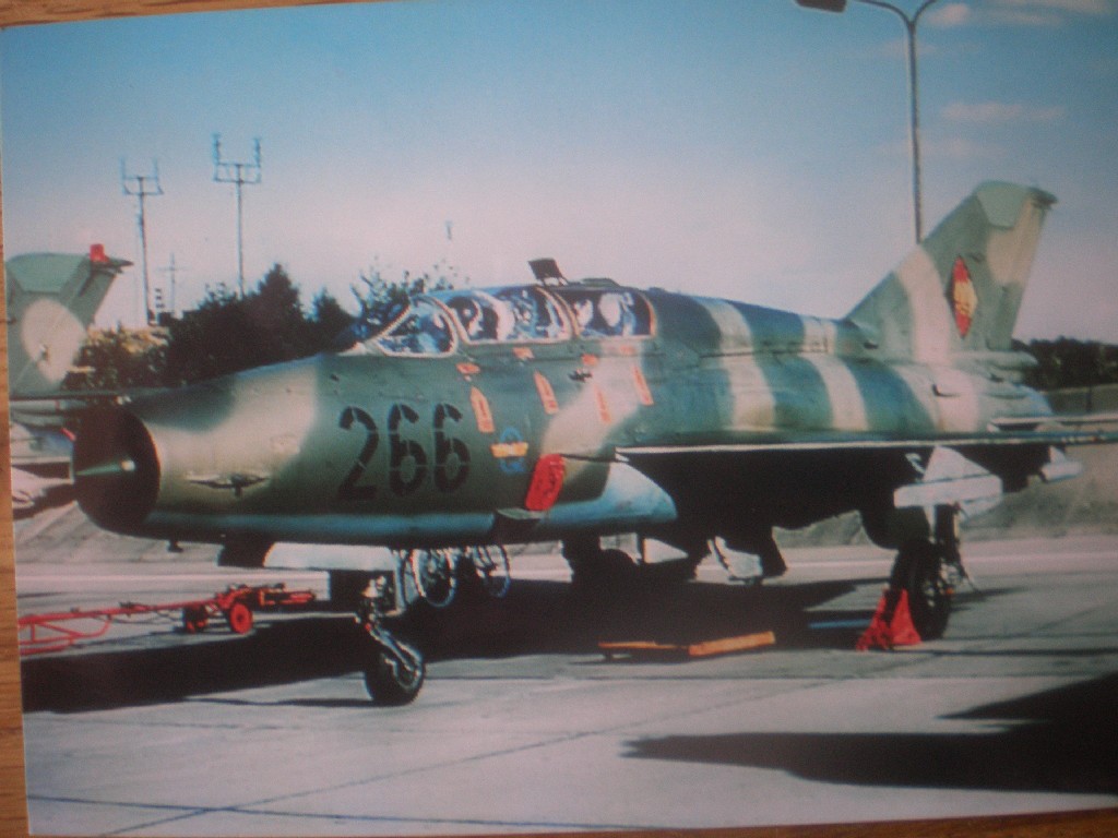 P5100001.jpg