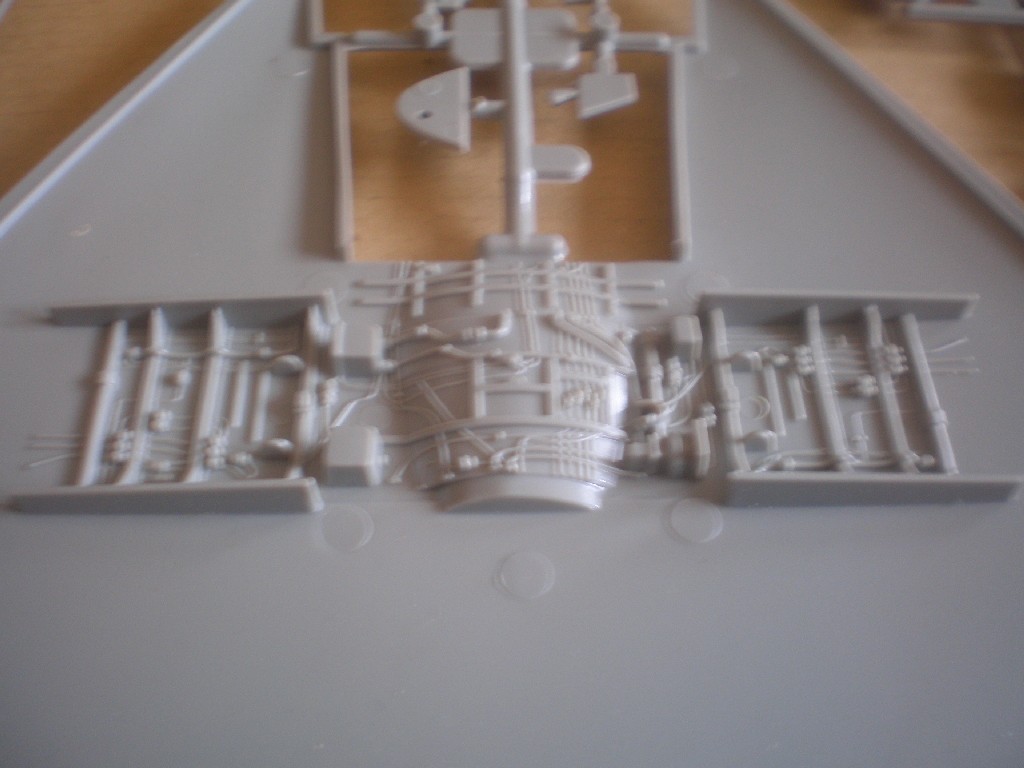 P5160020.jpg