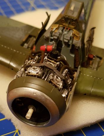 fw191.JPG