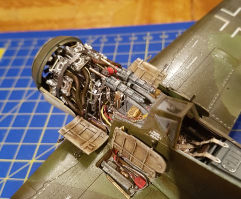fw200.JPG