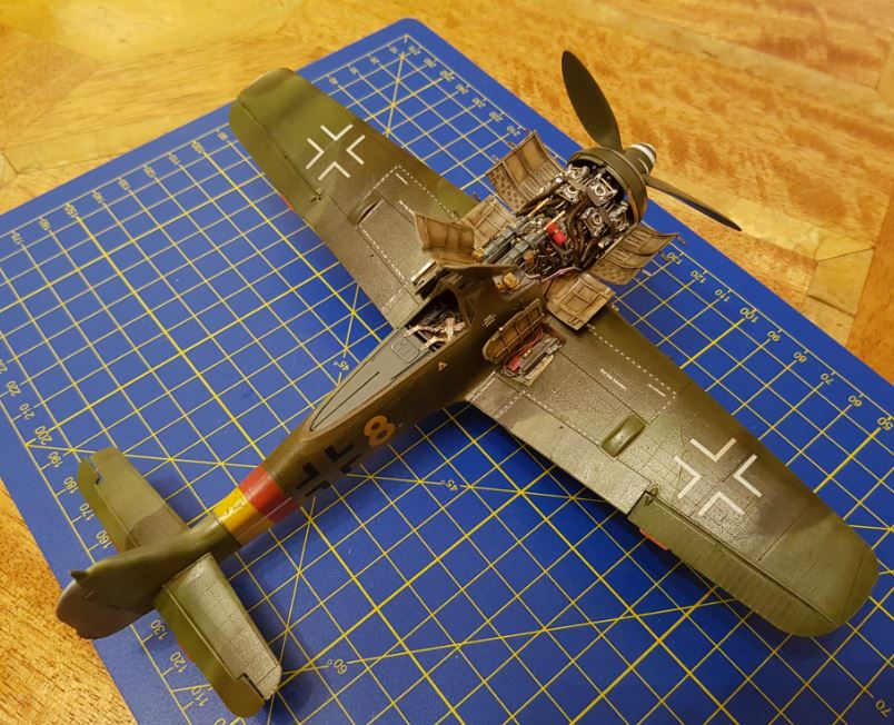 fw213.JPG