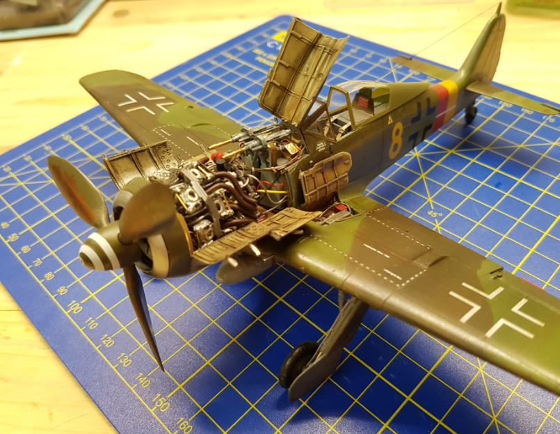 fw260.JPG
