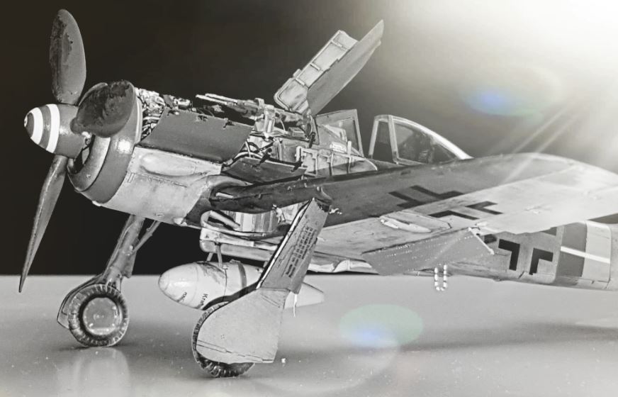 fw312.JPG