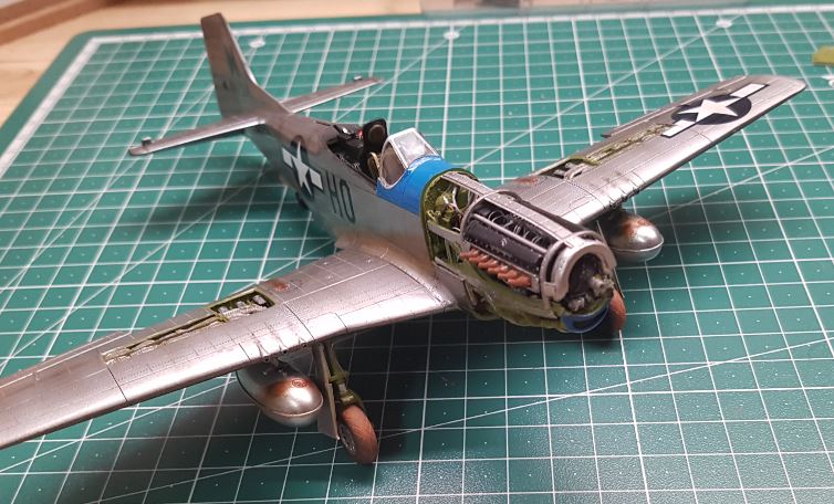 p51_121.JPG