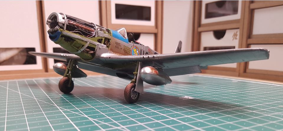 p51_122.JPG
