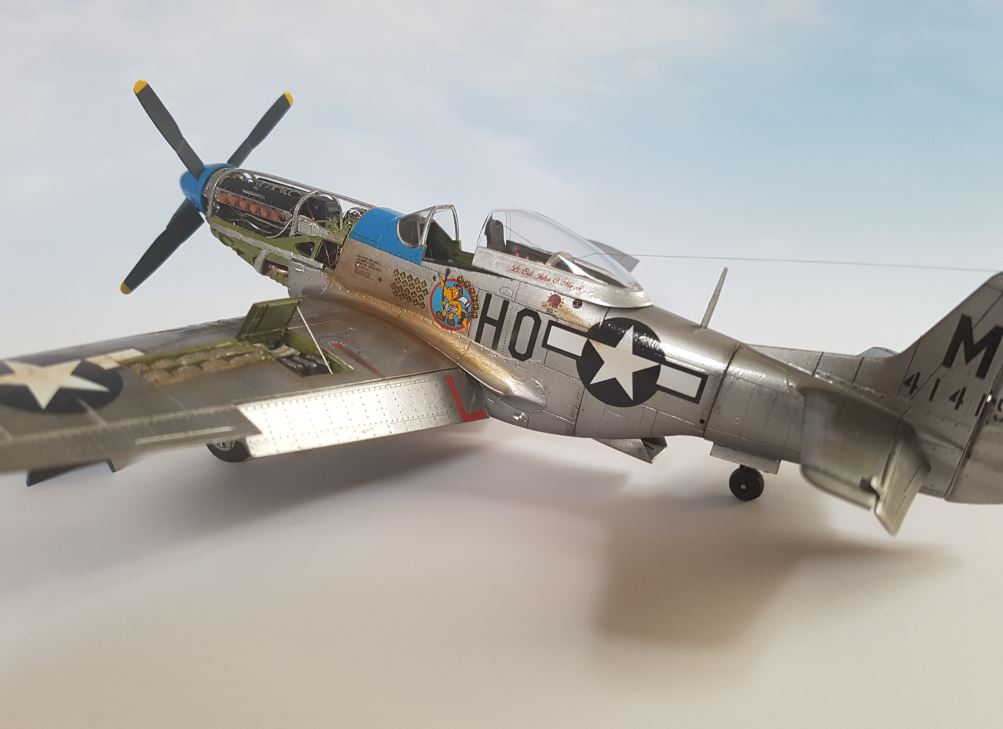 p51_203.JPG