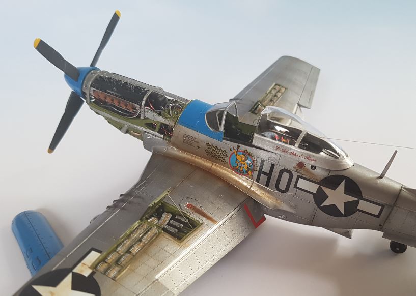 p51_204.JPG