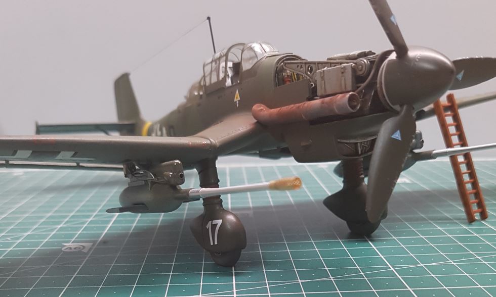 ju75.JPG