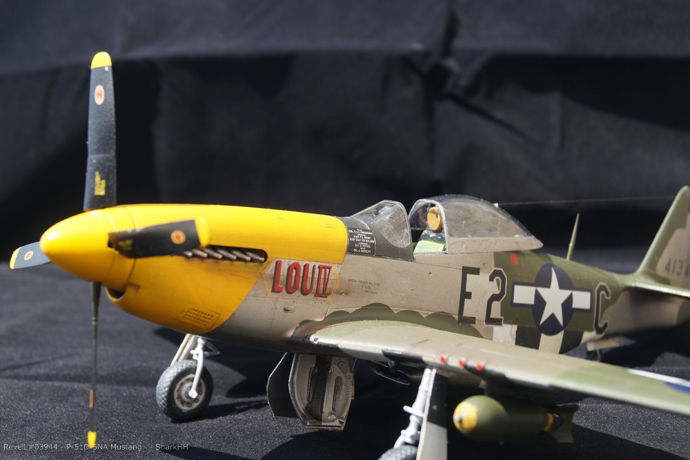 Revell 03944 - P-51D Mustang-0008.jpg