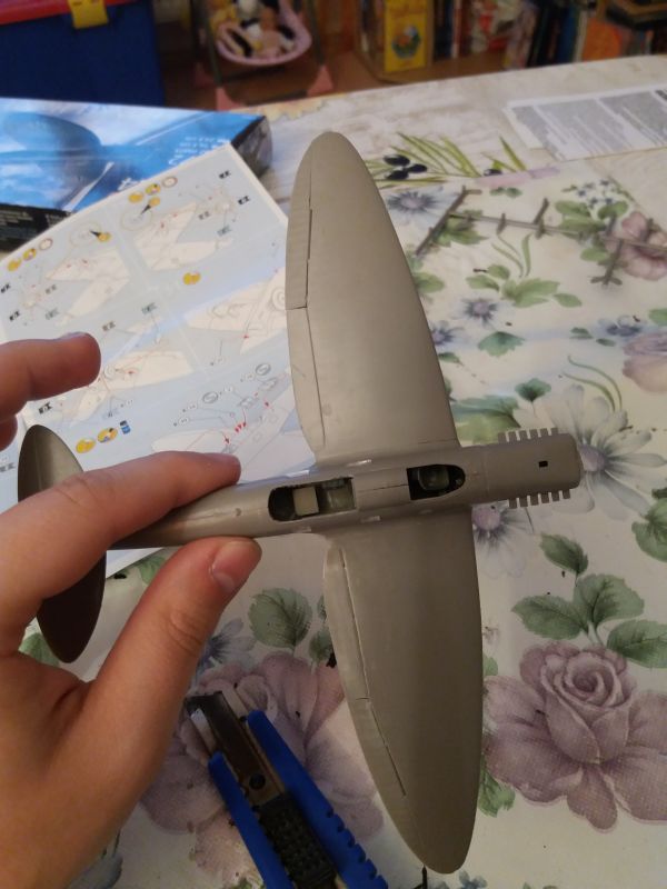 20190501_201227.jpg