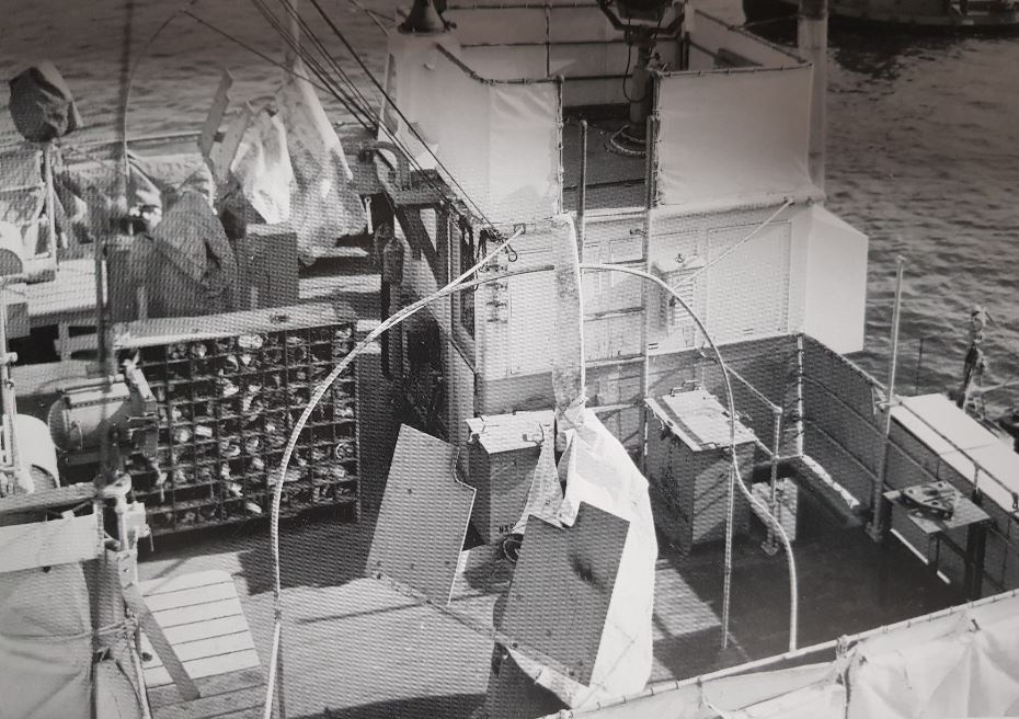 sn224.JPG