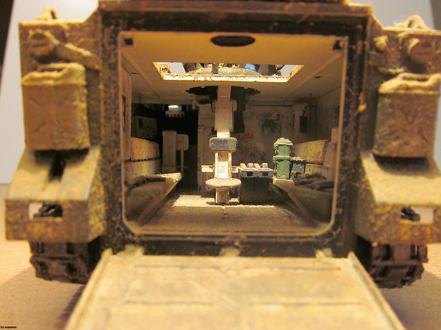 RFx_RF_M113_ACAV_09.jpg