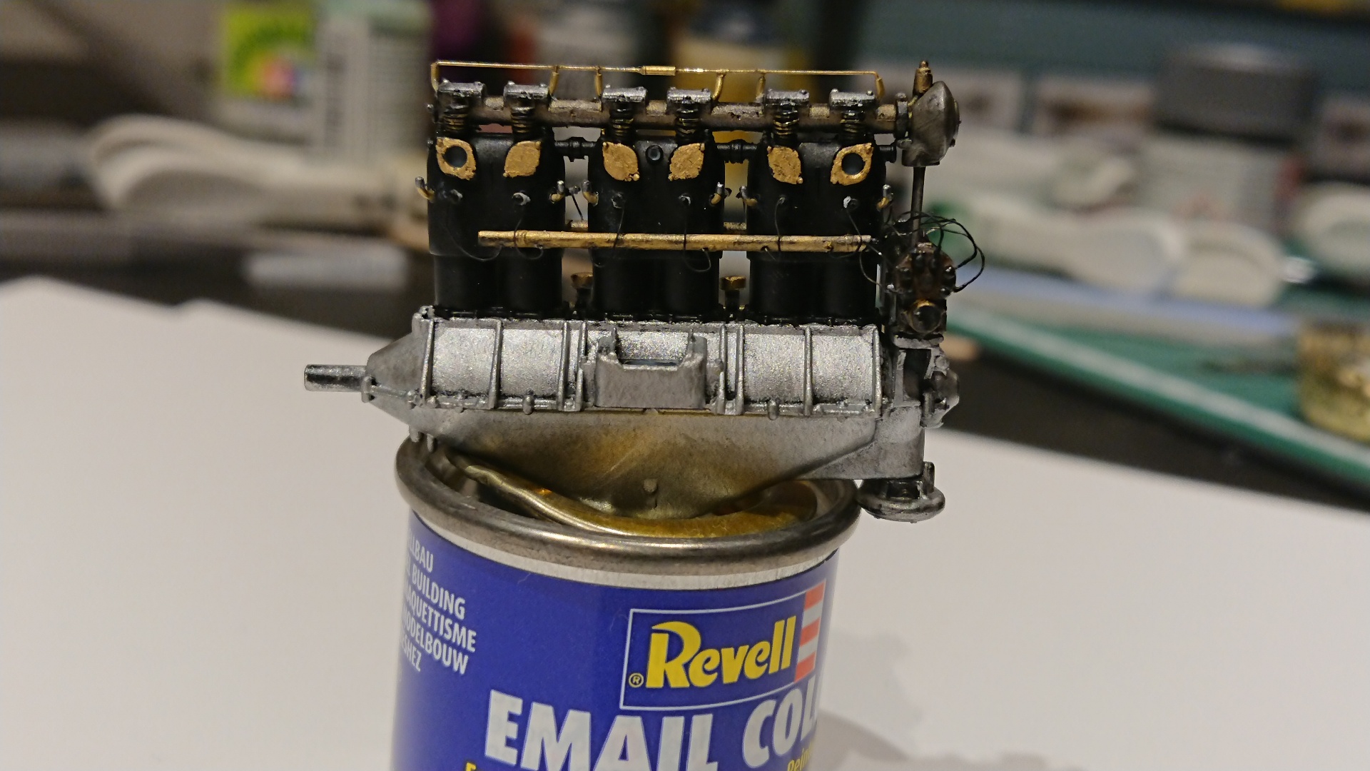 DSC_2951.JPG