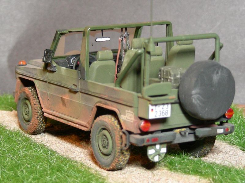 Wolf 04.jpg
