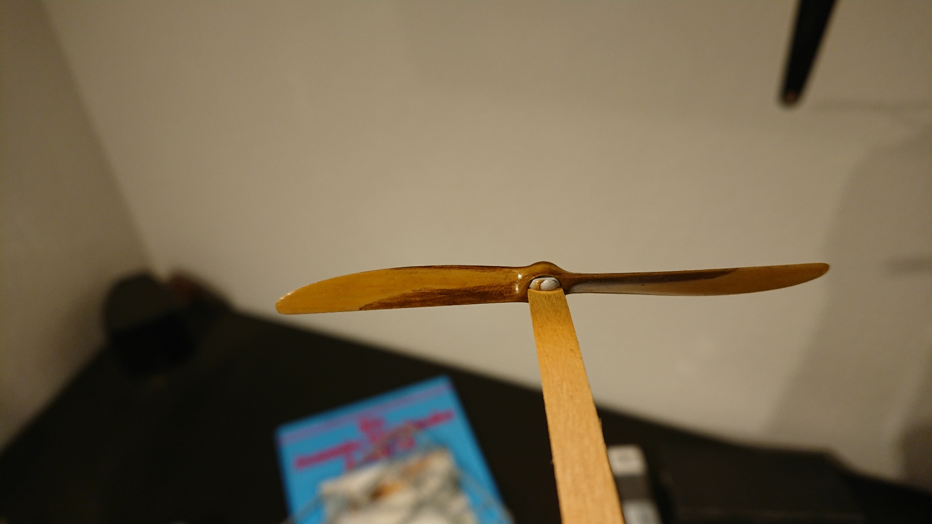 DSC_3103.JPG