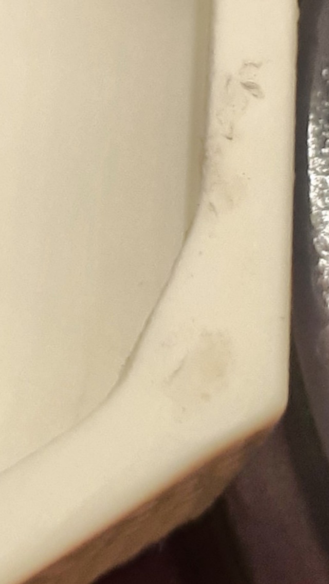 2020022512472000.jpg