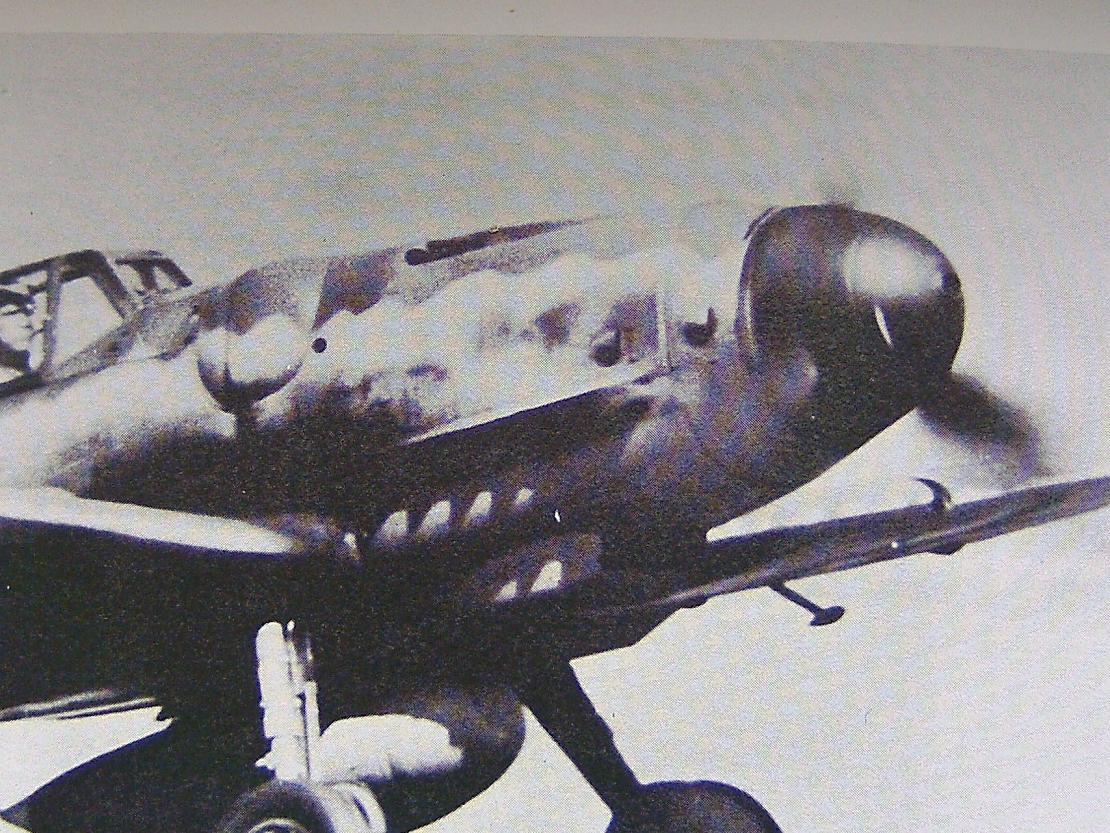 BILD0493.JPG