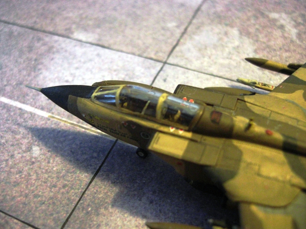 CIMG7770.JPG