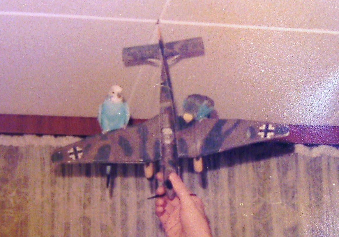 BILD0116.JPG