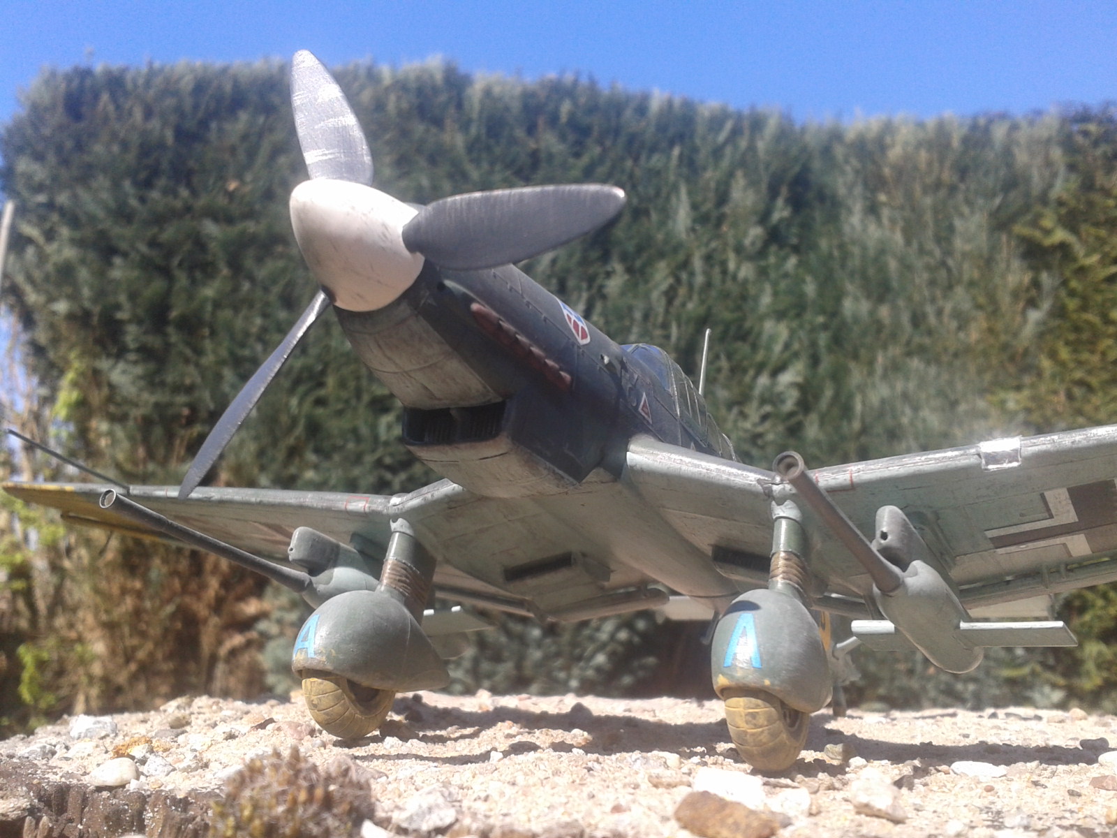 2020-04-15 11.27.29.jpg