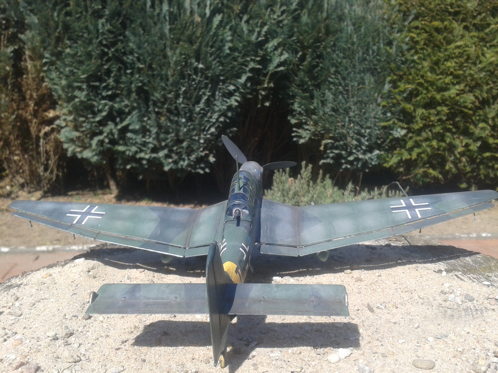 2020-04-15 11.21.08.jpg