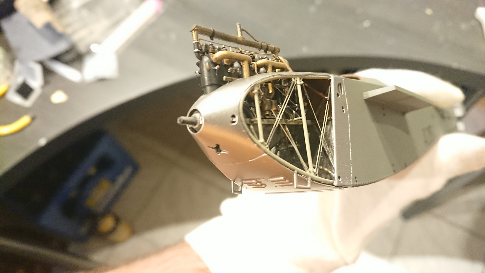 DSC_3517.JPG