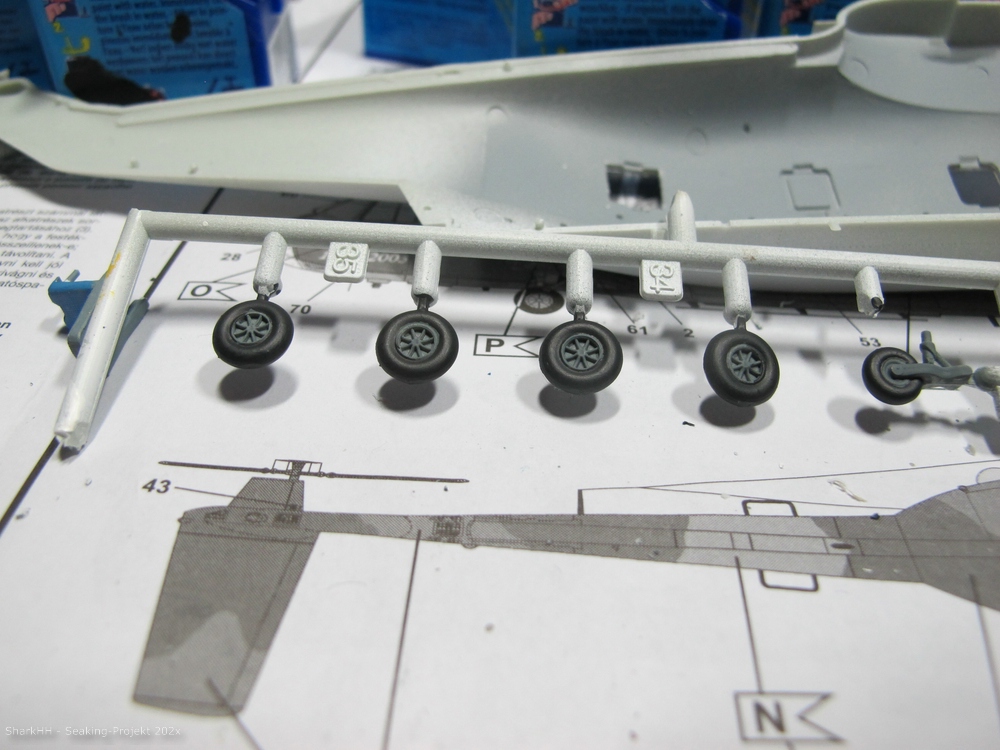 Seaking-02-017.jpg