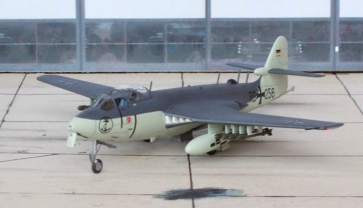 Seahawk_11.jpg