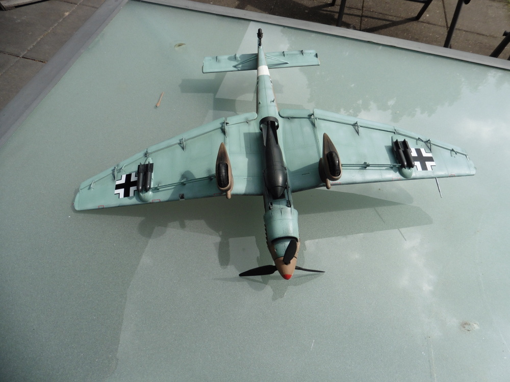 P1010253.JPG