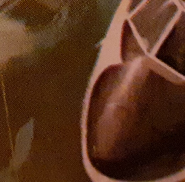 20200920_200949.jpg