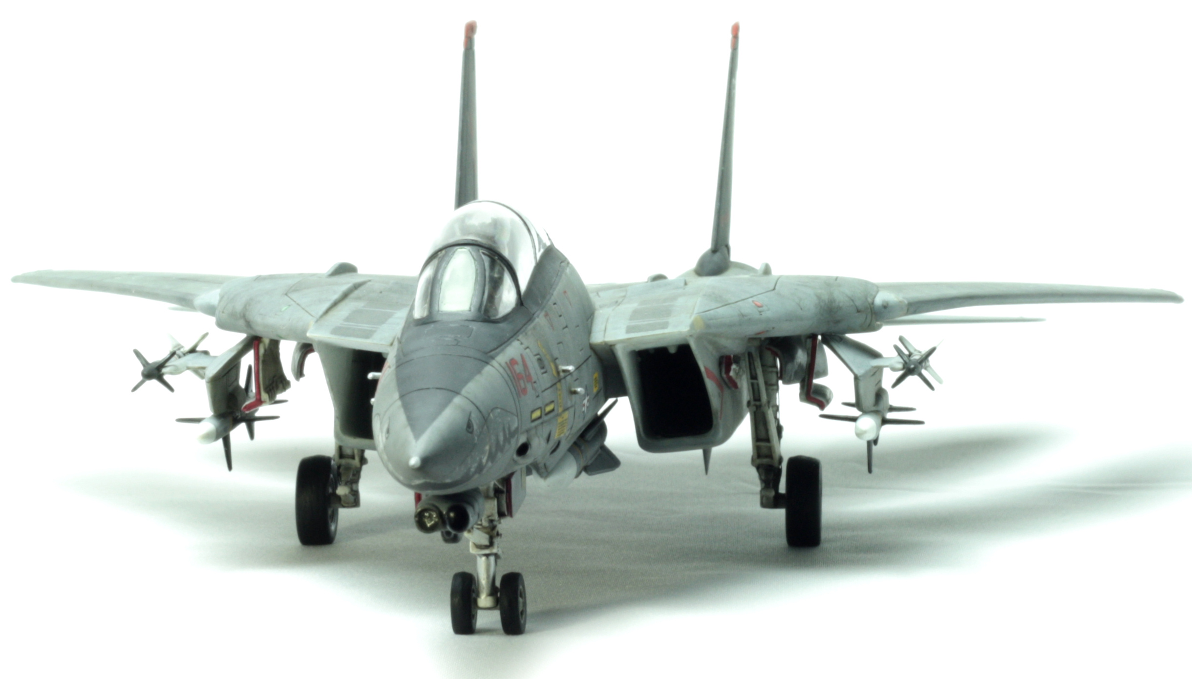 F-14 Tomcat