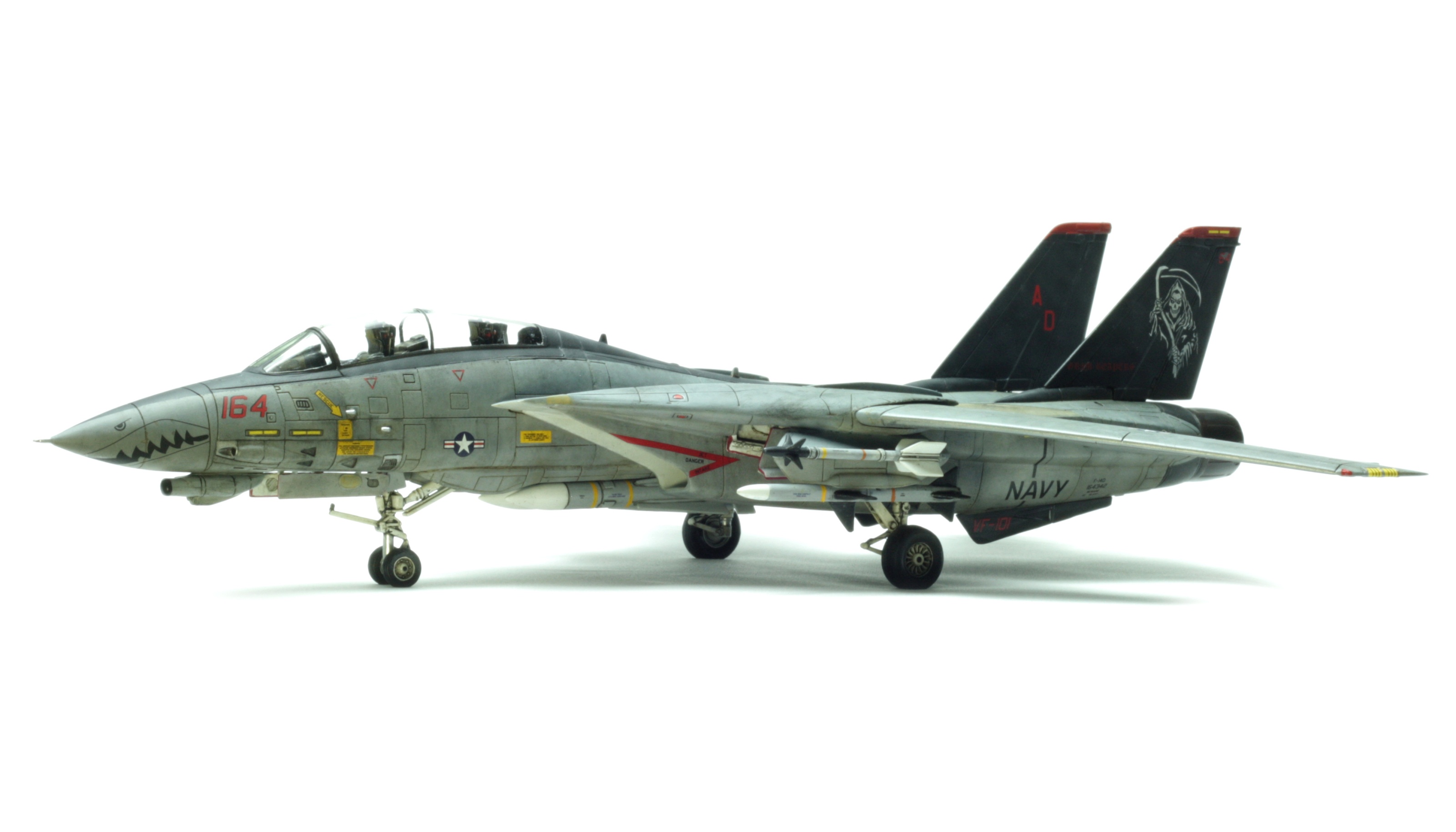 F-14 Tomcat