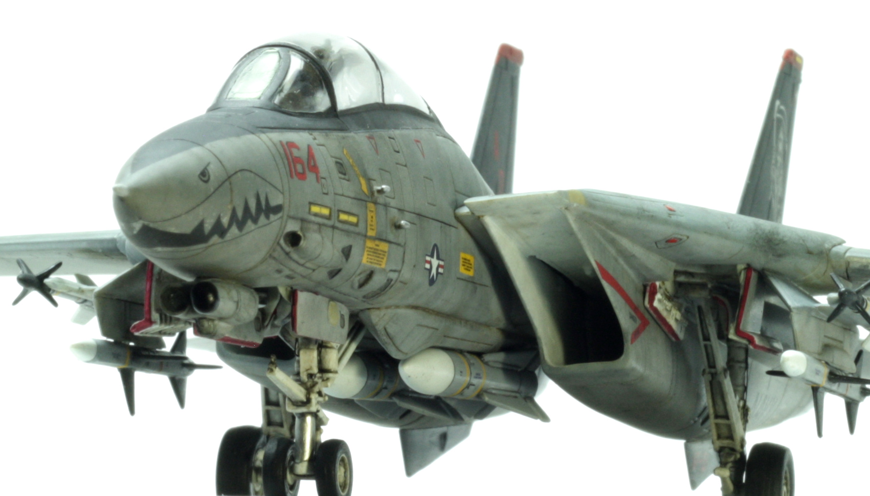 F-14 Tomcat