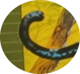 ddd.jpg