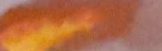 20201004_194253-001.jpg