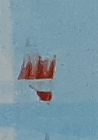 20201019_140103 (3).jpg