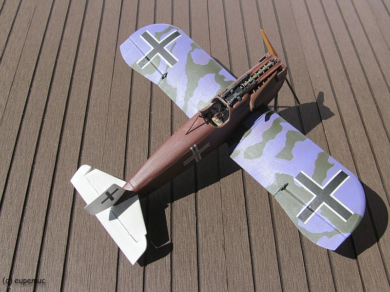 RF_IMG_4894.jpg