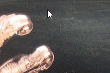 r2.jpg