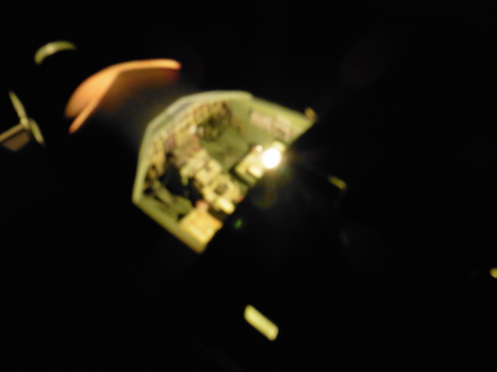 P1010466.JPG