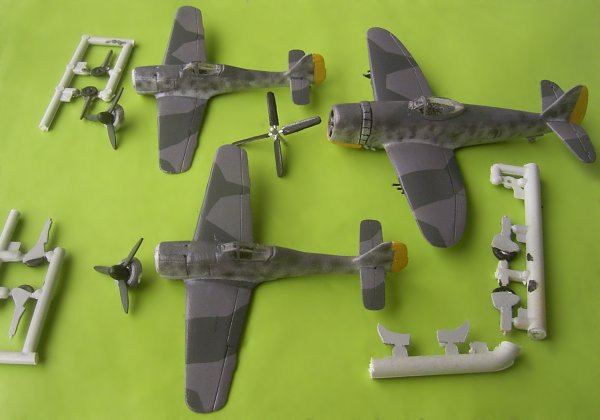 fw6.jpg