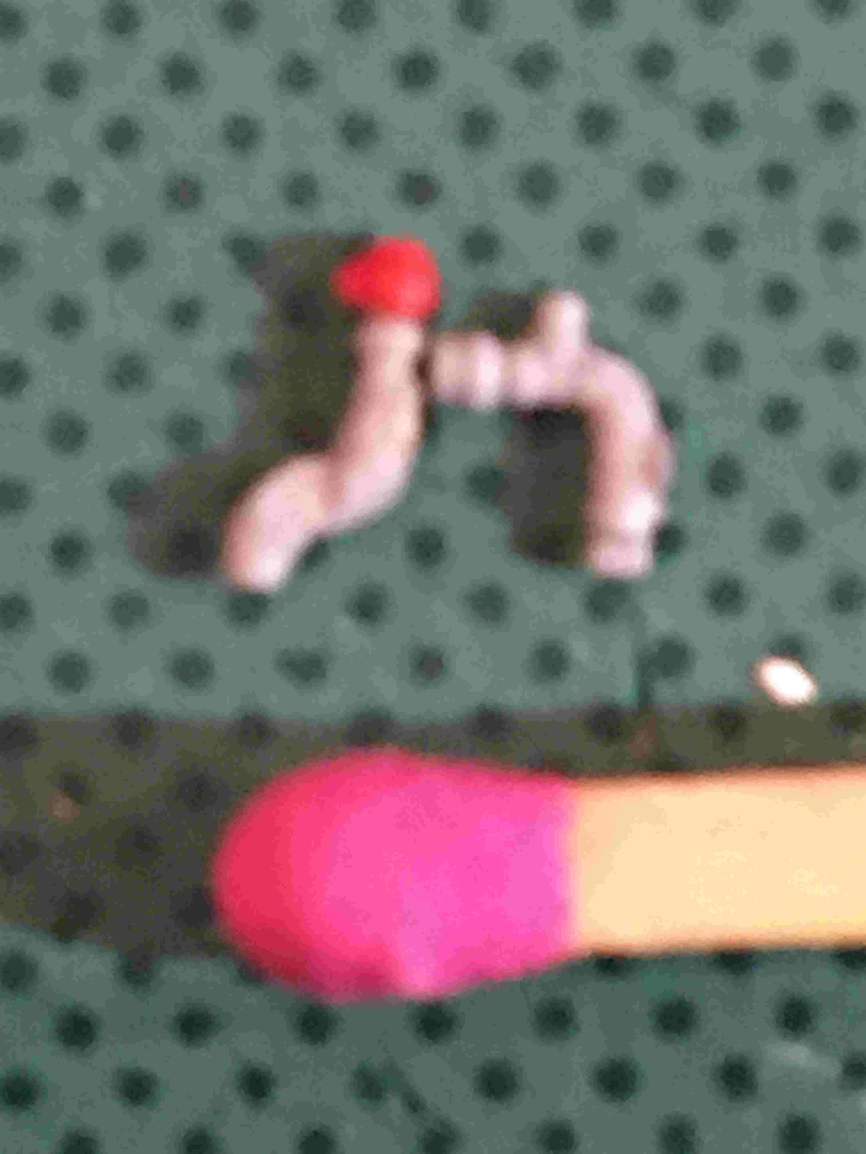 IMG_0948.JPG