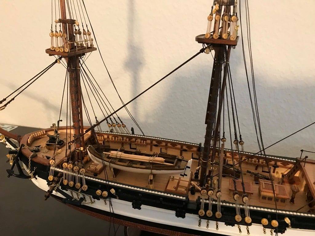 Beagle 3.jpg
