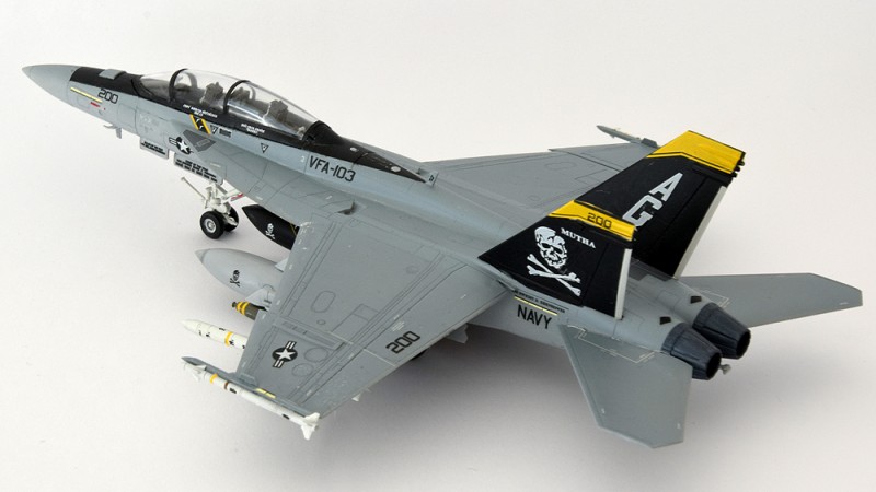 FA-18F-Super_Hornet-Jolly_Rogers_whg (30).jpg