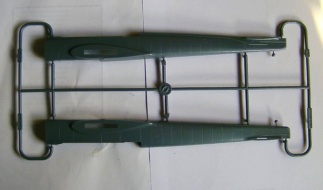Spritzling Q.JPG